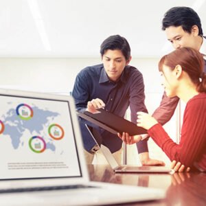 Acquire an Established Corporate Entity